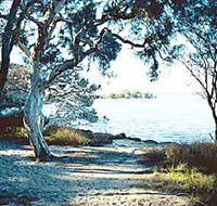 The Cove - Queensland Tourism