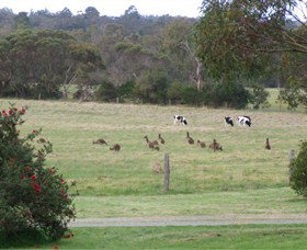 Woody Grange Chalets - QLD Tourism 0