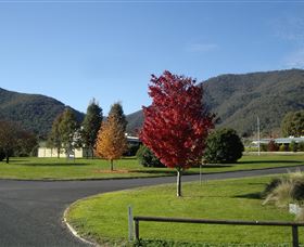Talbingo NSW QLD Tourism