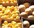 Brisbane Markets - QLD Tourism