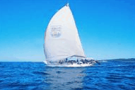 Manly Harbour Village - Queensland Tourism 0