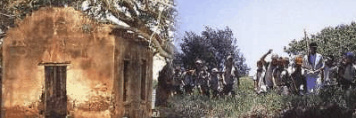 St Helena Island - Queensland Tourism 1