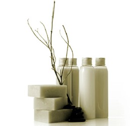 Oasis Day Spa - QLD Tourism 0