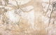 Dianne Tanzer Gallery & Projects - thumb 3