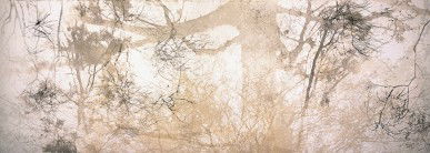 Dianne Tanzer Gallery & Projects - QLD Tourism 3