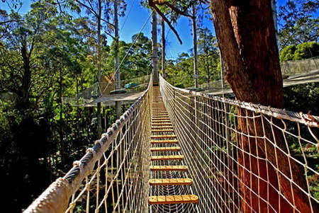 Thunderbird Park - Queensland Tourism 0