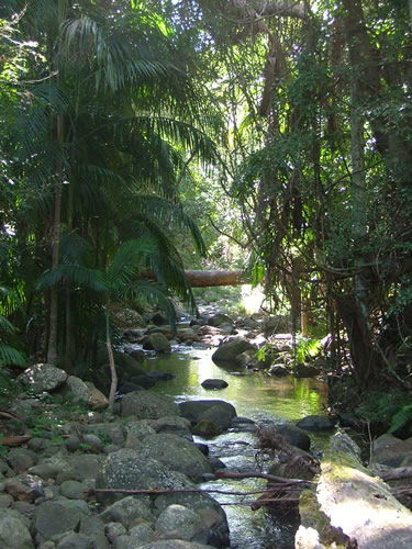 Thunderbird Park - Queensland Tourism 2