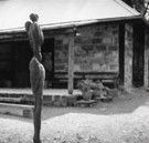 The Baldessin Press - Queensland Tourism