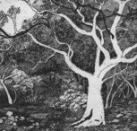 Tacit Contemporary Art - Queensland Tourism