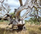 Colour Factory Gallery - QLD Tourism 3