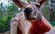 Birdland Animal Park - thumb 3
