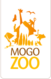 Mogo Zoo - QLD Tourism 0