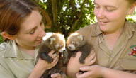 Mogo Zoo - QLD Tourism 3