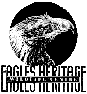 Eagles Heritage - QLD Tourism 0