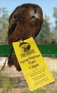 Eagles Heritage - QLD Tourism 1