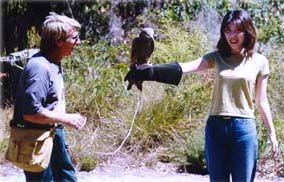 Eagles Heritage - QLD Tourism 2
