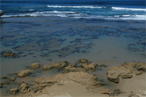 Canberra Contemporary Art Space - QLD Tourism 0