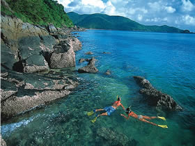Llewellyn Dive Site - Queensland Tourism 0