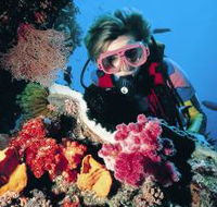 Gold Coast Seaway Dive Site - Queensland Tourism