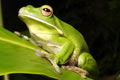  Queensland Tourism