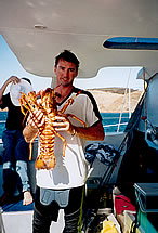 Temptation Sailing - QLD Tourism 3