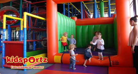 Cool Cats - QLD Tourism 1