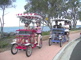 Beach Safaris - QLD Tourism 0