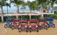 Beach Safaris - thumb 1