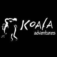 Koala Adventures - QLD Tourism 0