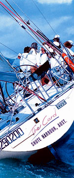 Koala Adventures - QLD Tourism 1