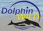 Dolphin Wild - Queensland Tourism 0