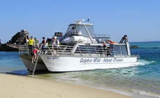 Dolphin Wild - Queensland Tourism 2