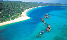 Dolphin Wild - Queensland Tourism 3