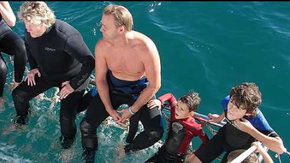 Dolphcom - Dolphin & Whale Swimming Adventures - Queensland Tourism 2