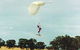 Aerial Skydiving - thumb 1