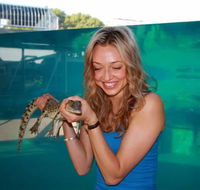 Crocosaurus Cove - Queensland Tourism