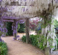 Abingdon Miniature Village - Queensland Tourism