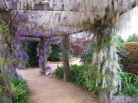 Abingdon Miniature Village - QLD Tourism 0