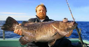 Bravo Fishing Charters - Queensland Tourism 0