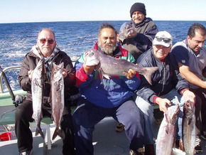 Bravo Fishing Charters - Queensland Tourism 1