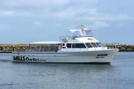 Mills Charters Fishing And Whale Watch Cruises - QLD Tourism 1