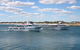 Mills Charters Fishing And Whale Watch Cruises - thumb 2
