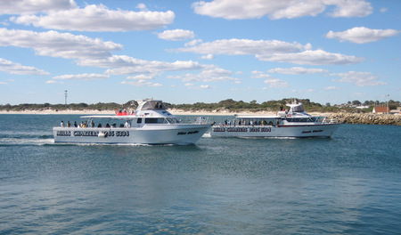 Mills Charters Fishing And Whale Watch Cruises - QLD Tourism 2