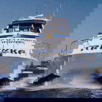Sunshine Coast Fishing Charters - QLD Tourism 0