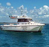 Sunshine Coast Fishing Charters - QLD Tourism 1