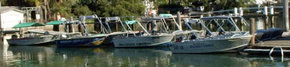 Brooklyn Central Boat Hire & General Store - QLD Tourism 1