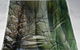 Tapet Gallery - thumb 0