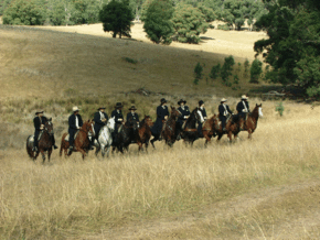 McCormacks Mountain Valley Trail Rides - Queensland Tourism 0