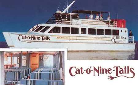 Cat O' NineTails - Queensland Tourism 1