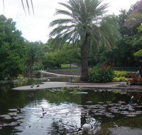 Brisbane City Botanic Gardens - QLD Tourism